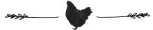 chicken-divider.png