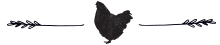 chicken-divider.png
